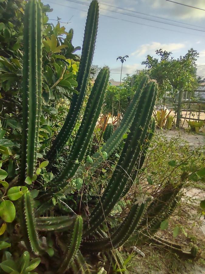 Pousada Quintal Dos Sonhos Xando Caraíva Exterior foto